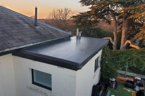 New Single Ply Flat Roofing Shepperton